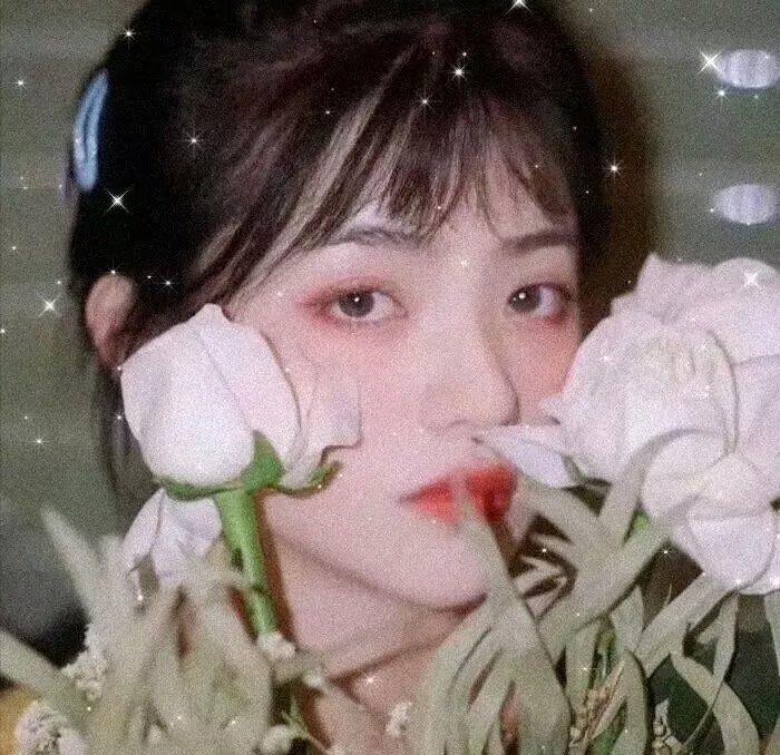 彩鸾春色